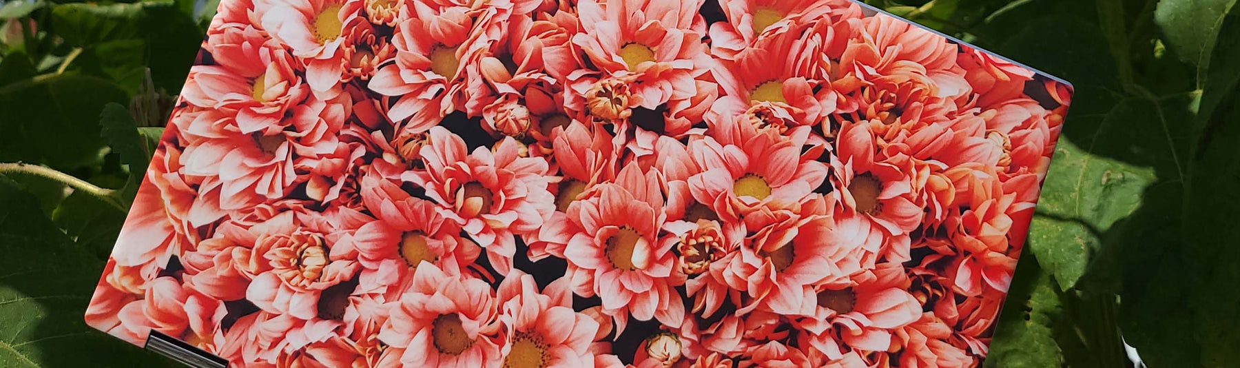 How Custom Business Laptop Skins Protect & Personalize Your Tech