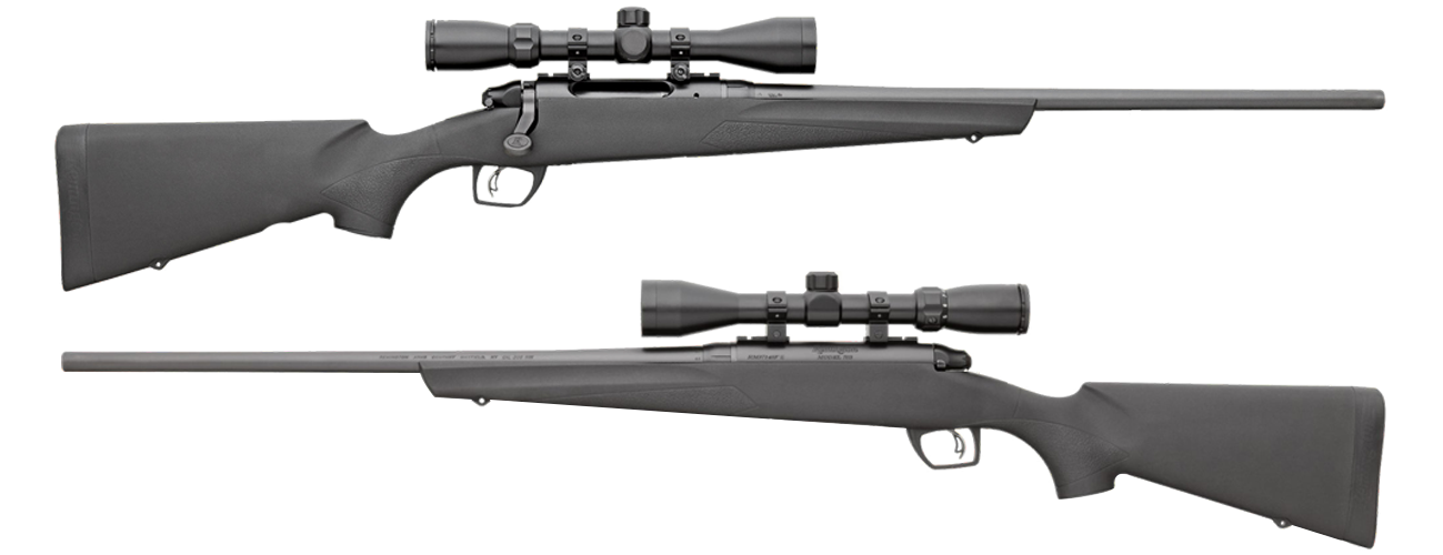Sushi Skin For GunWraps AR-15 Rifle — MightySkins