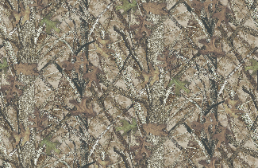 CAMO